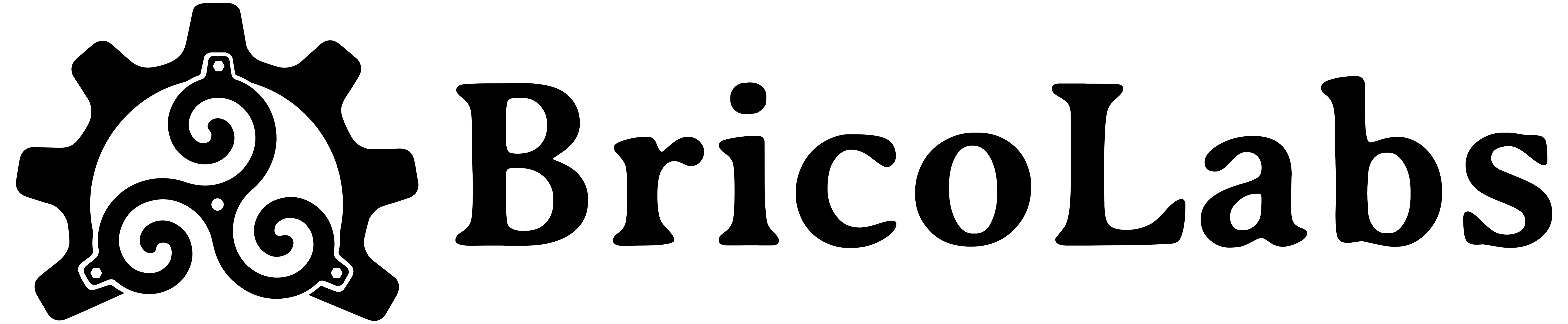 Bricolabs logo landscape.jpg