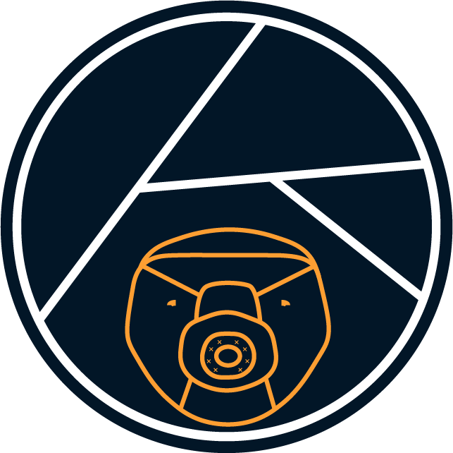 Norilab logo.png